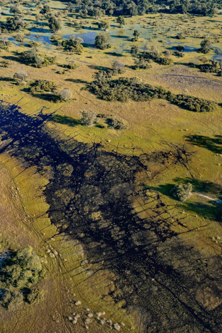 Africa Landscapes | Wallpaper | Ameliya Safaris