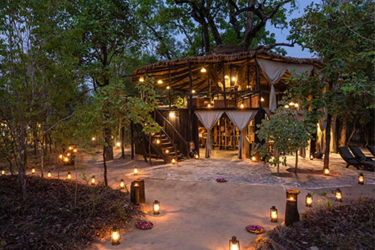 Treehouse Hideaway | Ameliya Safaris