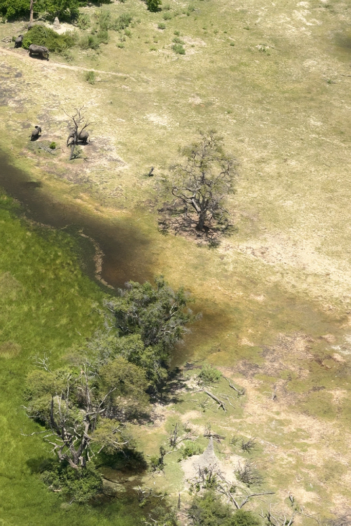 Dry Season