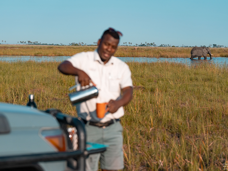 Bush Breakfast | Ameliya Safaris