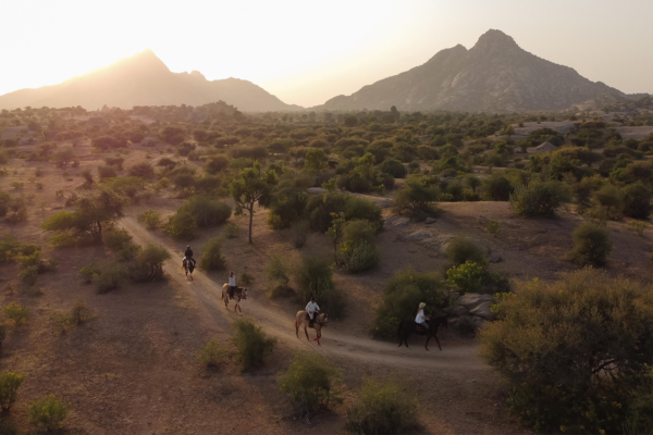 Horse Riding | Ameliya Safaris
