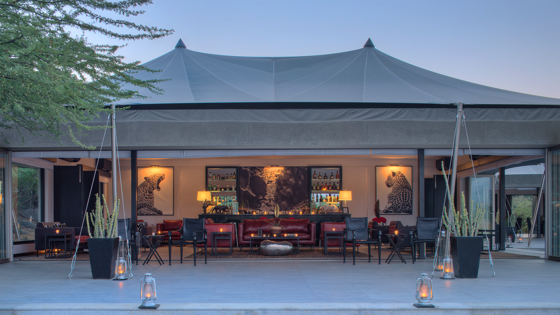Sujan Jawai | Ameliya Safaris