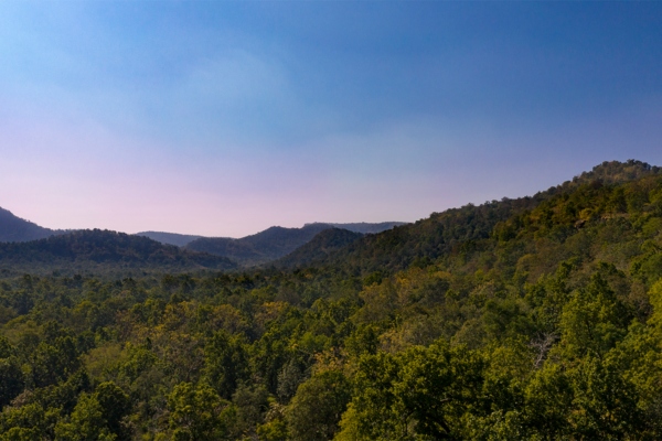 Landscape | Ameliya Safaris