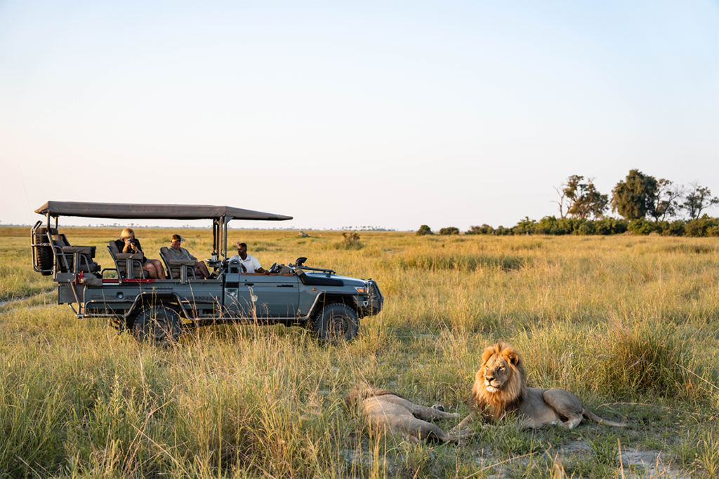 Botswana luxury safari | Ameliya safaris usa