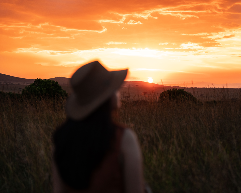 Sunset safari experience with Ameliya Safaris USA