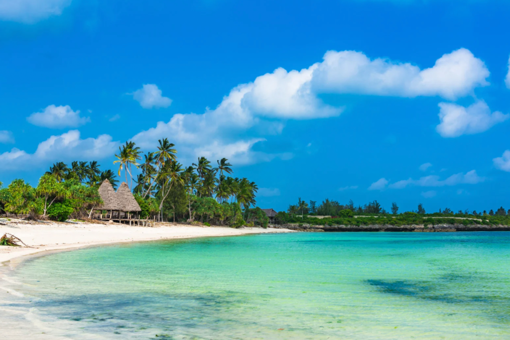 Sand, Sea, and Safari | Zanzibar
