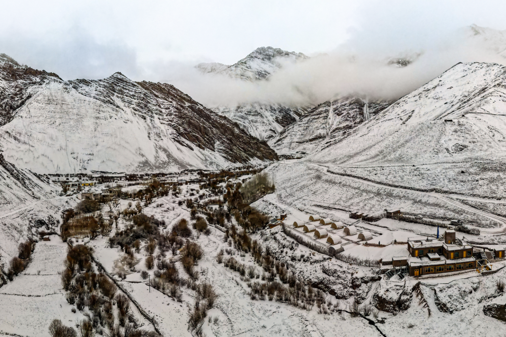 privately guided snow leopard safari