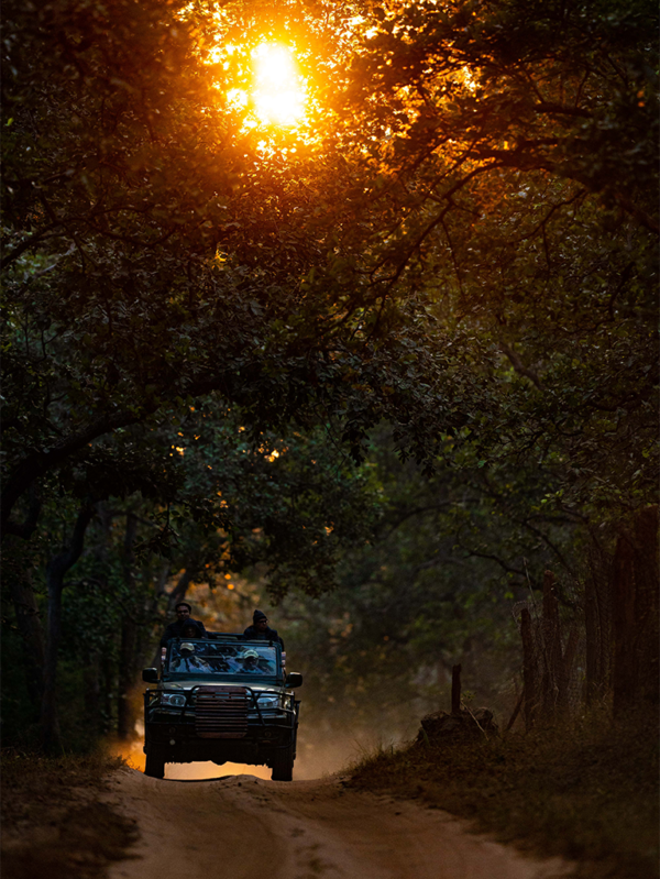 india holiday packages
